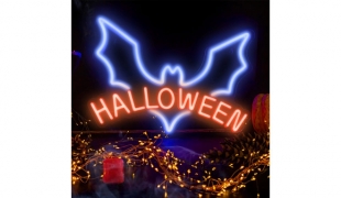 Dekorativní Plexi LED neon Halloween (RTV100280)